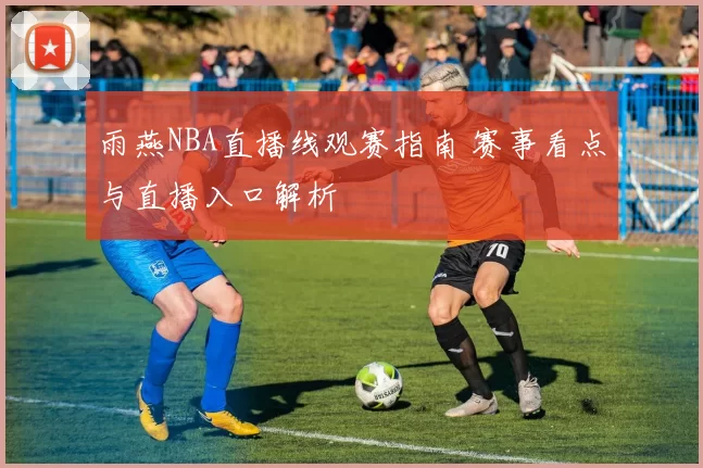 雨燕NBA直播线观赛指南 赛事看点与直播入口解析