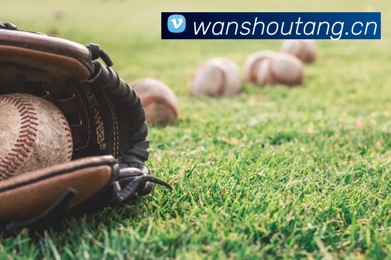 2018世界杯官网品牌故事